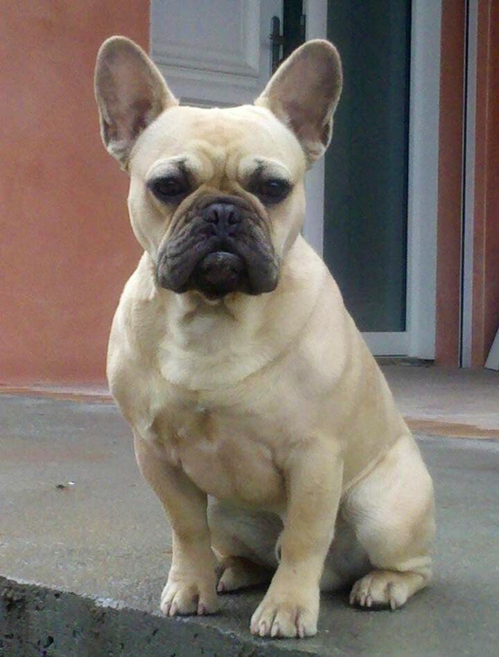 Hector-hercule Aurora Alaska